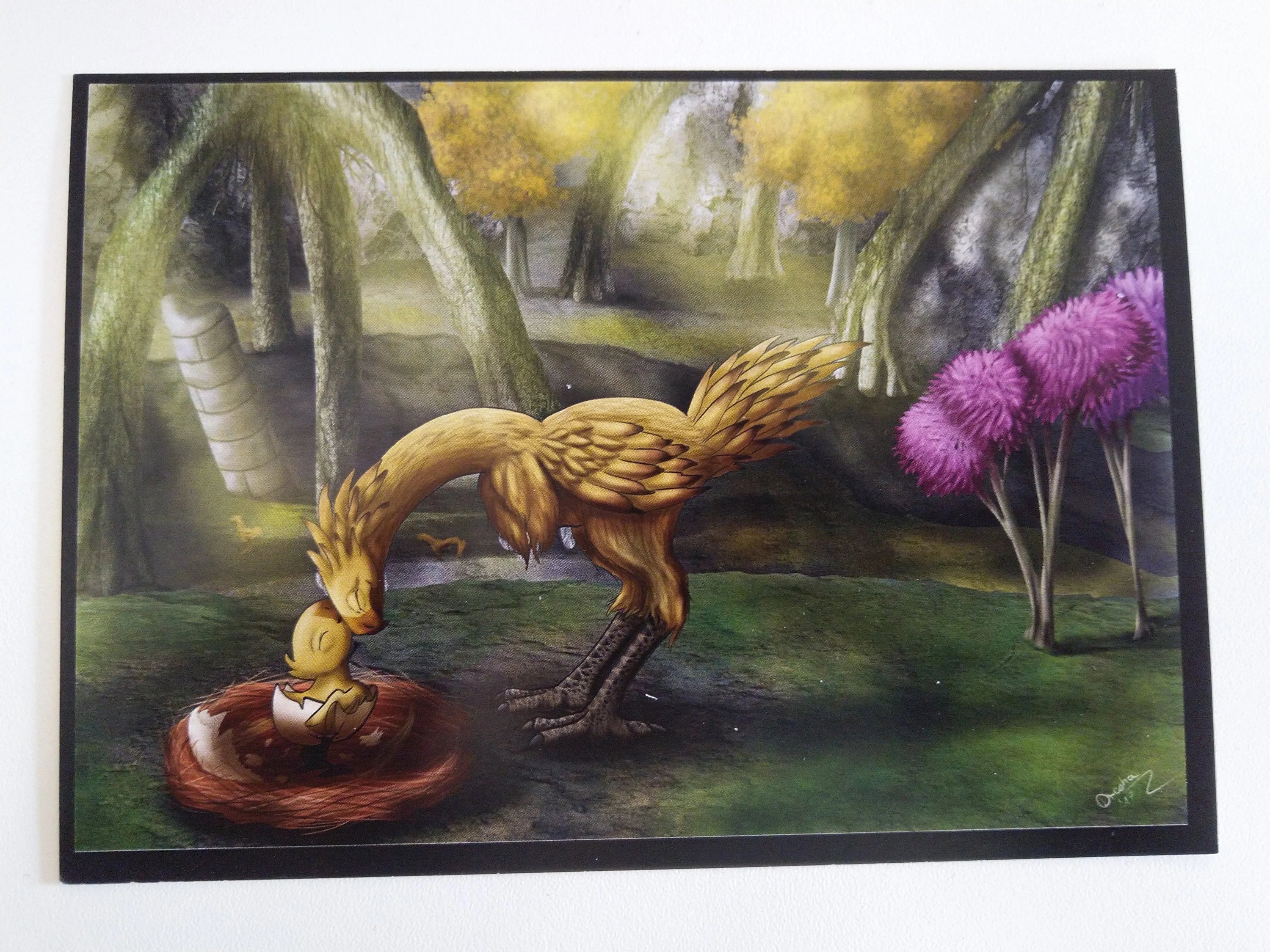 A6 Fantasy Bilddrucke verschd. Motive