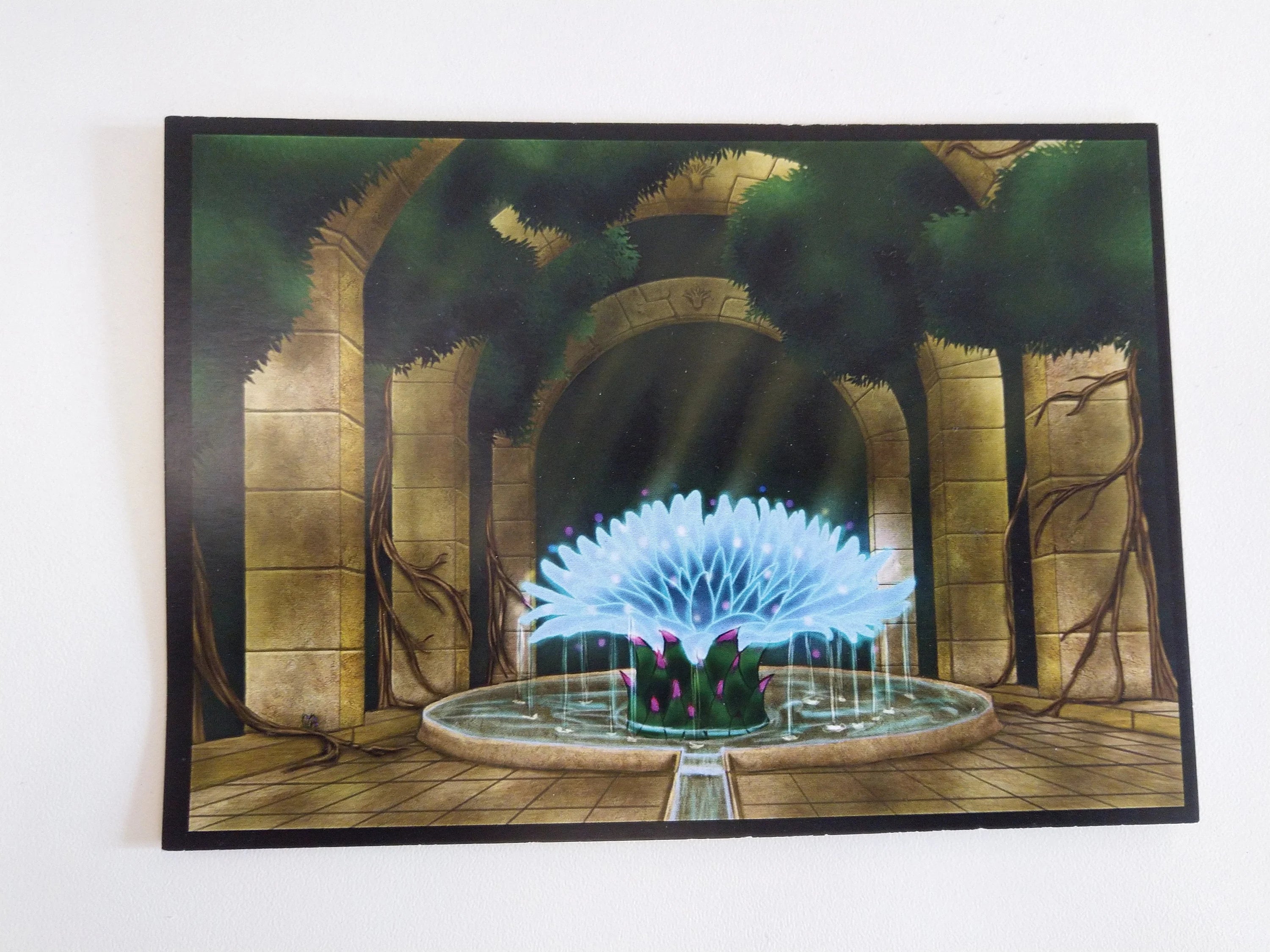 A6 Fantasy Bilddrucke verschd. Motive